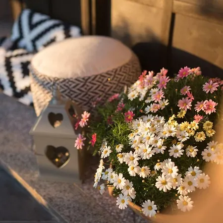 Apartamento Deluxe No.8